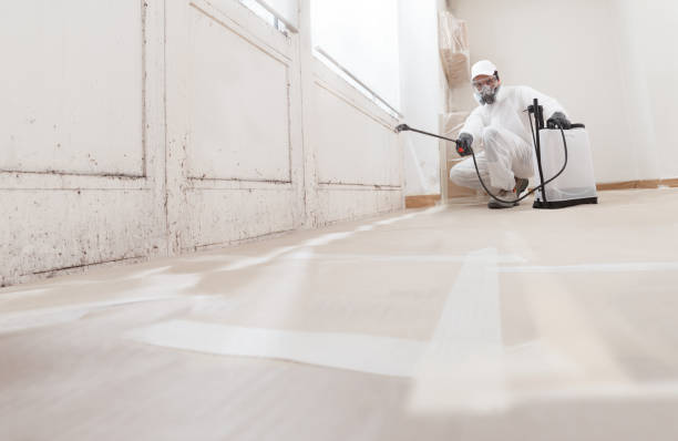 24/7 Emergency Attic Mold Remediation experts in Haledon, NJ
