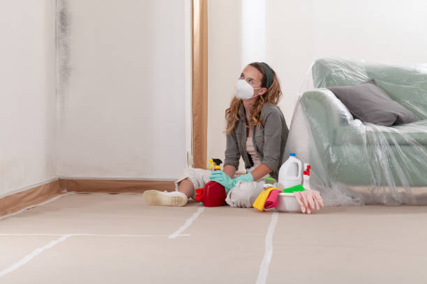 Reliable Attic Mold Remediation contractor in Haledon, NJ by Car Mold Remediation